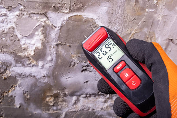 Best Toxic Mold Removal  in Gleason, TN