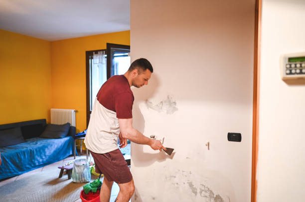 Best Commercial Mold Removal  in Gleason, TN